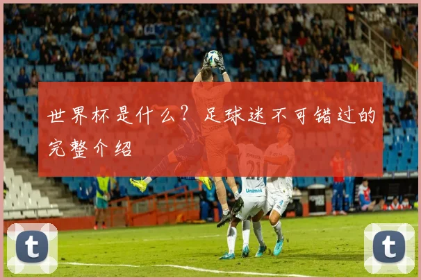 世界杯是什么？足球迷不可错过的完整介绍