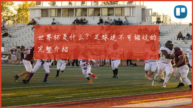世界杯是什么？足球迷不可错过的完整介绍